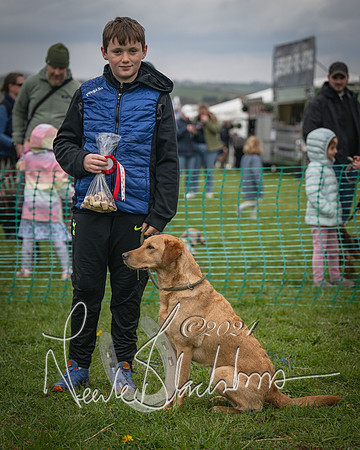 Bicester - Dog Show (31 of 106)