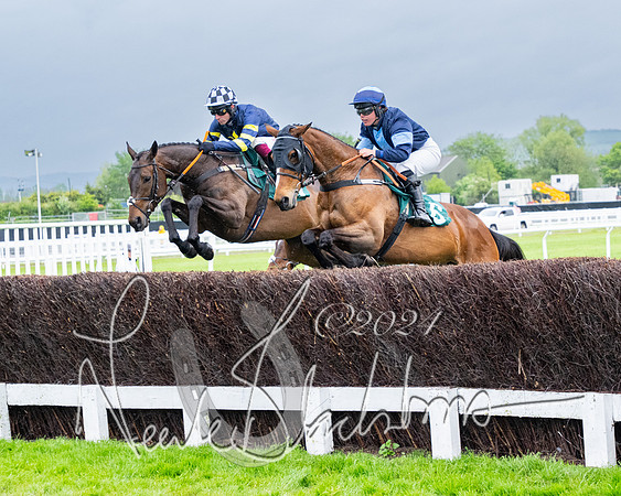 Race 5 - Mares Open  (29 of 129)