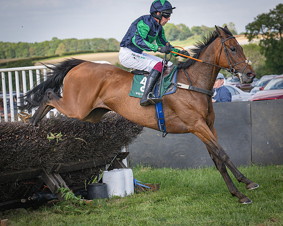 Race 6 - 2m5f Conditions (52 of 70)