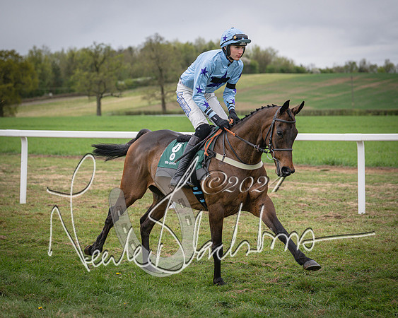 Race 6 - The Restricted Race (6 of 101)