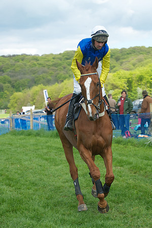 Race 5 -  21