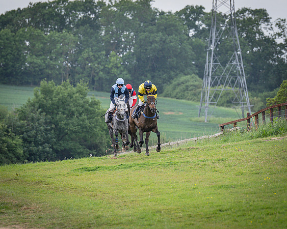 Race 5 - 3 Mile Maiden [NWFAA] (38 of 95)