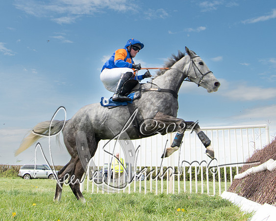 Race 2 - The Elliott of London maiden race (114 of 137)