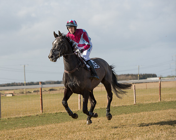 Race 1 - 4-5-6 Maiden (46 of 119).jpg