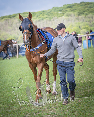 Race 6 - Thorn Plant Hire Maiden Race (16 of 129)