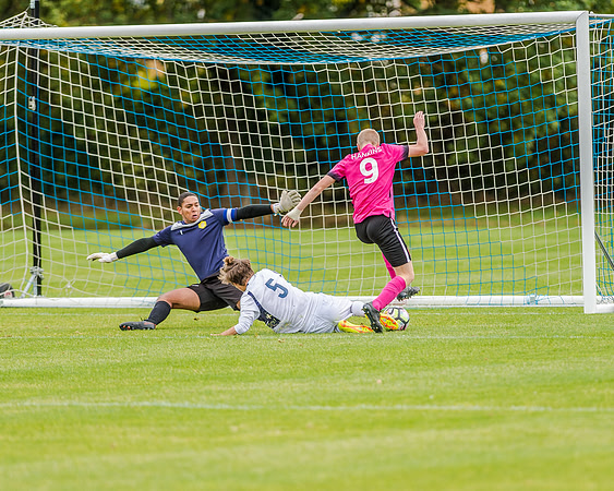 edsv 6-0 191016 (47 of 257)