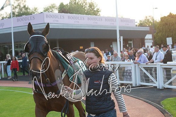 Race 6 - The Brooklands watches Golden Miller chronograph open hunter’s steeplechase 4m 97y (15 of 396)