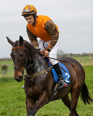 Race 2 - Veteran Horse (9 of 153)