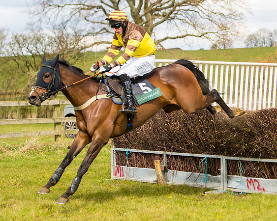 Race 1 - Conditions  (74 of 116)