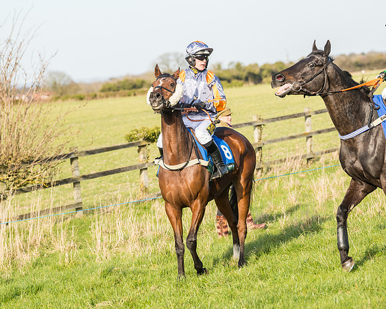 Race 5 - Restricted (8 of 146)