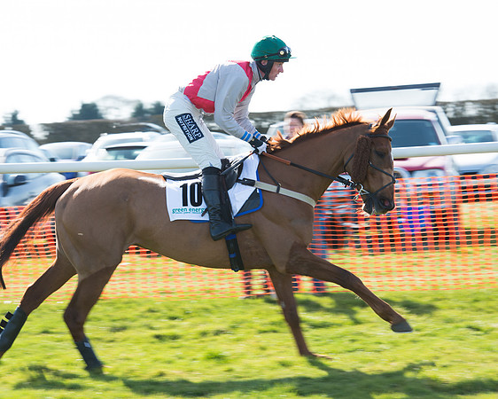 Race 2 - Open Maiden Div 2 (26 of 124).jpg