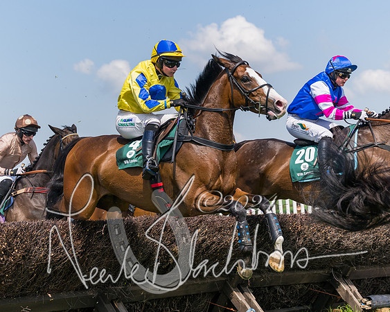 Race 2 - The Maiden  (167 of 442)
