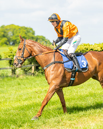 Race 4 - Ladies Open  (3 of 79)