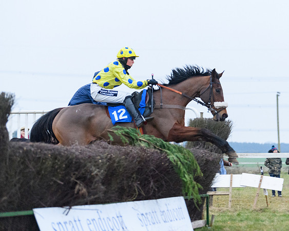 Race 8 - Oprn Maiden Div 2 (57 of 108)
