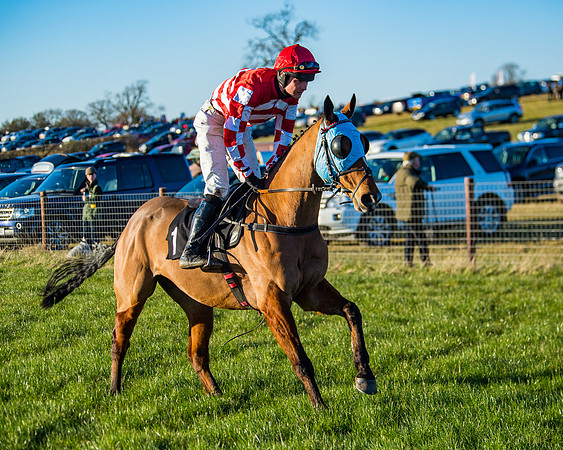 Race 7 - Maiden Division 2 (8 of 272)