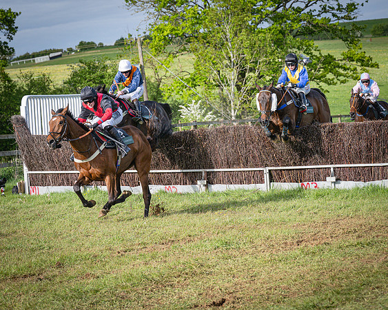 Race 7 - Walnut Hill PPORA club members maiden (71 of 104)