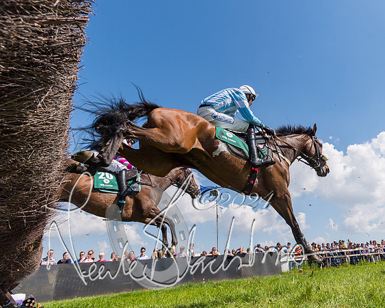 Race 2 - The Maiden  (243 of 442)