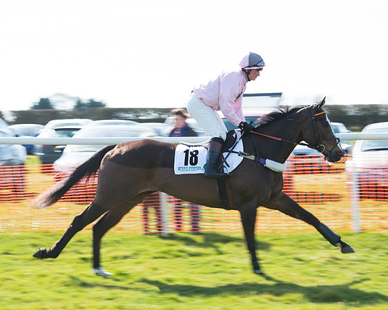 Race 2 - Open Maiden Div 2 (23 of 124).jpg