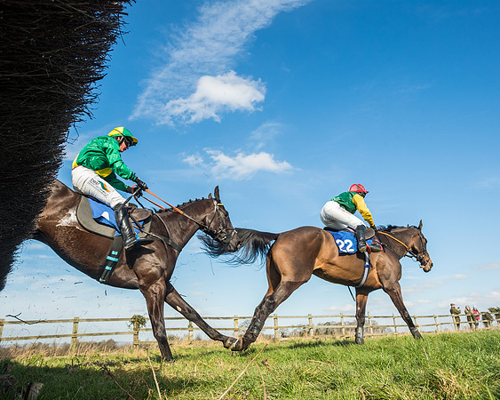 Race 1 - Open Maiden Division 1 (134 of 170)