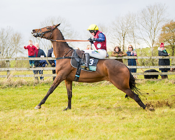 Race 5 - Restricted  (69 of 118)
