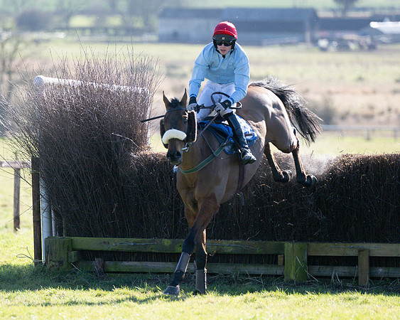 Race 1 - Veteran Horse (56 of 62)