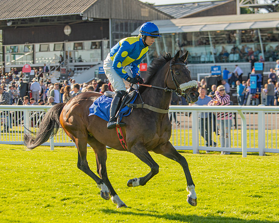 Race 2 - Nimrod Ladies Open (7 of 82)