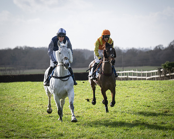 Race 5 - Home counties Grand National (30 of 194)