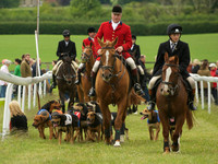Hound Race