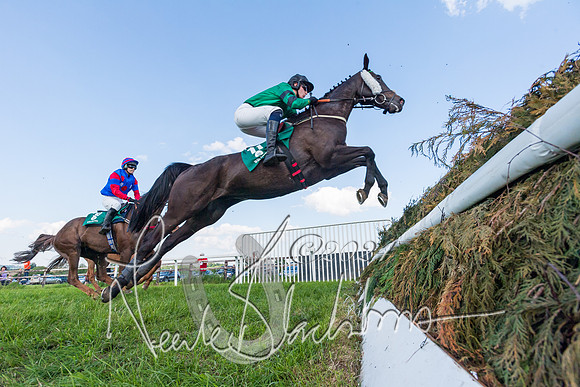 Race 7 - Veteran Horse (17 of 246)