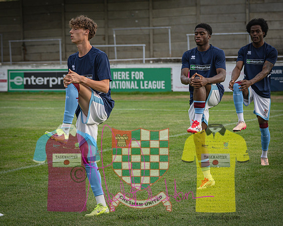 Chesham United 2 v 1 Billericay Town (21 of 380)