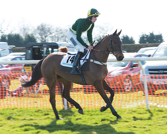 Race 2 - Open Maiden Div 2 (33 of 124).jpg