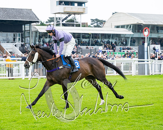 Race 3 - John Corbet Cup  (21 of 108)