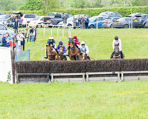 Race 2 - Veteran Horse (29 of 80)