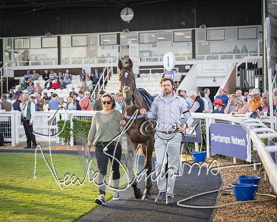 Race 5 - tipsterreviews.co.uk handicap (16 of 107)