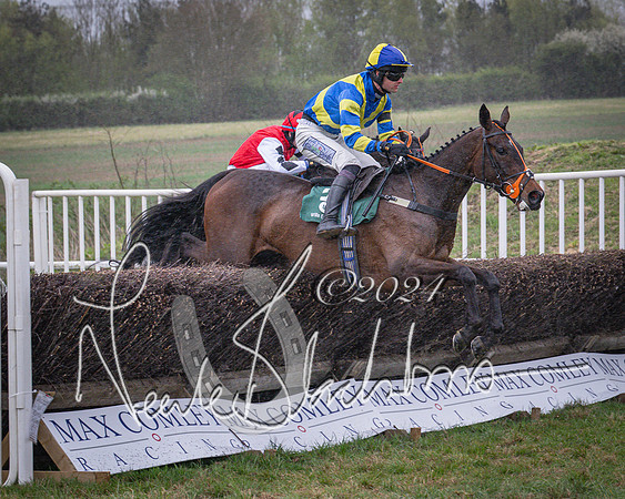 Race 7 - The Jockey Club maiden race for Mares and Fillies only (45 of 96)