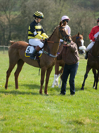 Pony Race 3 -  26