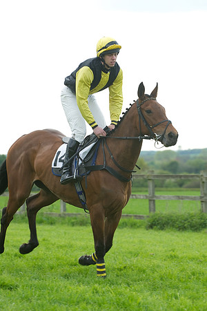 Race 6 -  11