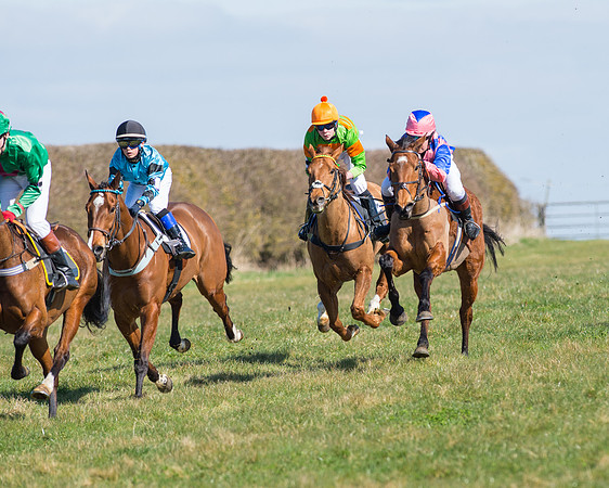Oakley Ponies (77 of 96).jpg