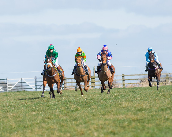 Oakley Ponies (59 of 96).jpg