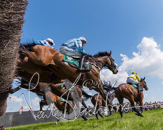 Race 2 - The Maiden  (166 of 442)
