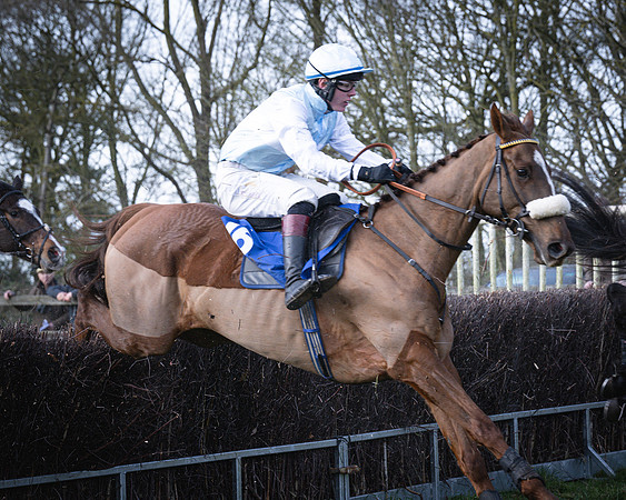 Race 2 - Maiden (83 of 145)