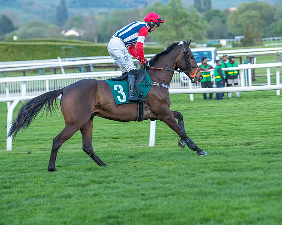 Race 7 - Glos Hussars  (94 of 245)