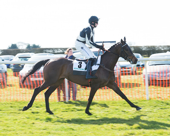Race 2 - Open Maiden Div 2 (35 of 124).jpg