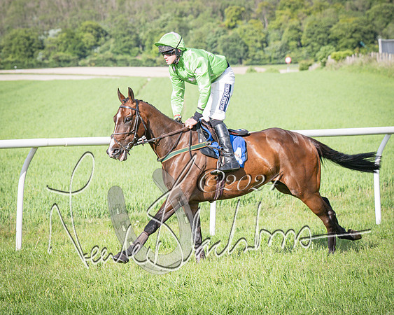 Race 6 - Thorn Plant Hire Maiden Race (31 of 129)
