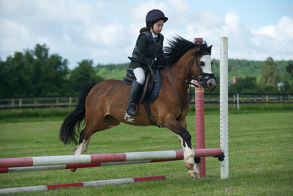 SOHS PC Summer Show at BCA 17th June 2012