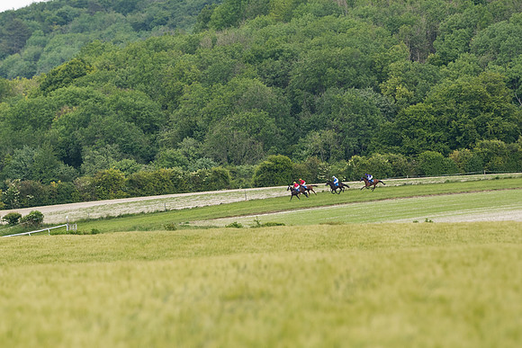Race 5 - Restricted  (57 of 136)