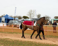 Race 5 - Members Conditions  (3 of 56).jpg