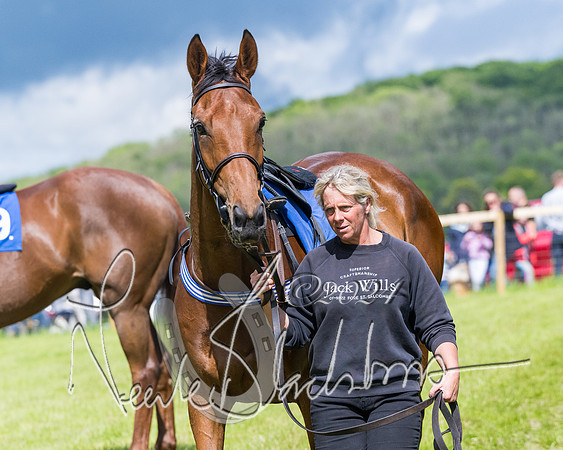 Race 3 - Conditions (67 of 367)