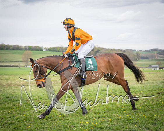 Race 5 - Grassroots Riders race (43 of 135)