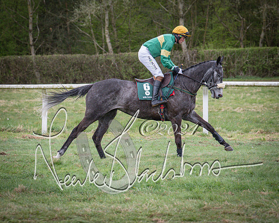 Race 7 - The Jockey Club maiden race for Mares and Fillies only (12 of 96)